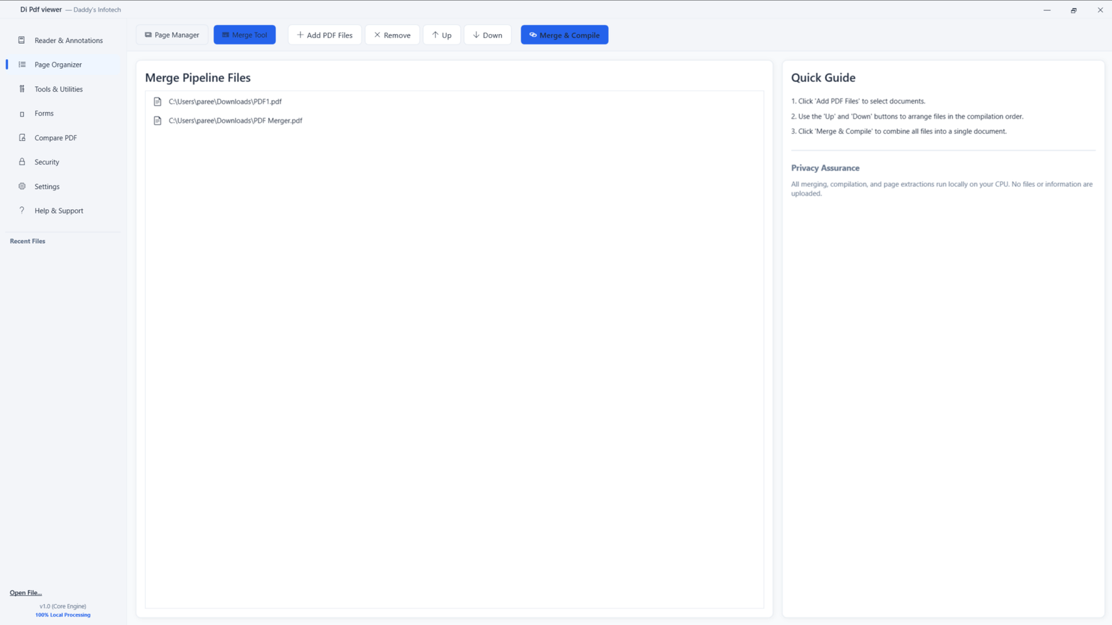 DI PDF Viewer Document